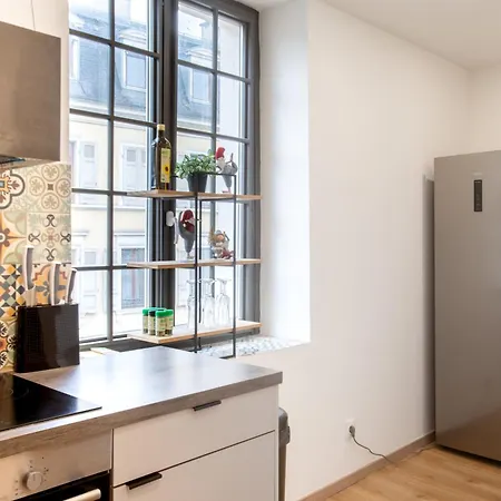 Le Grand Franciscain - Centre Historique Mulhouse